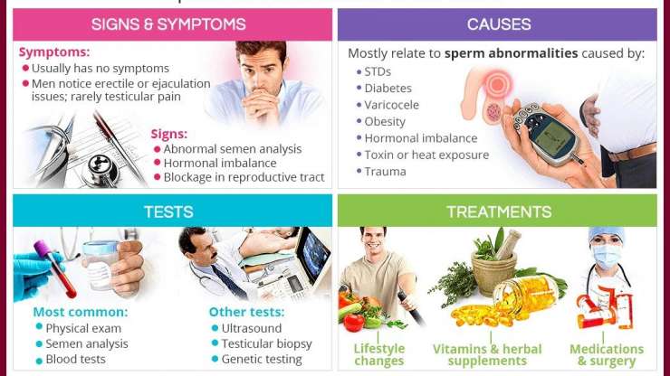 What is Male Infertility ?